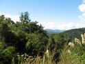 2011-02-19 Runanga 068